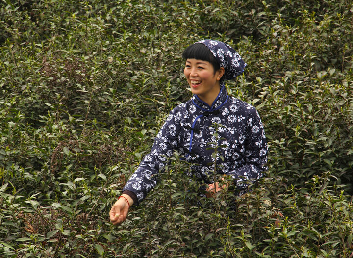更新8